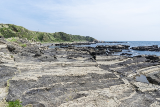 城ヶ島の地層をぐるり1周で知ろう！～大断層ほか見どころ満載～