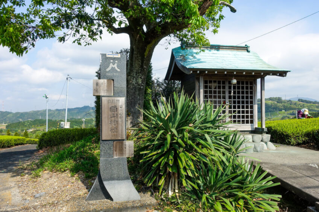 江戸幕府による東海道整備と9つの宿場町の重要度合い～神奈川県の歴史～