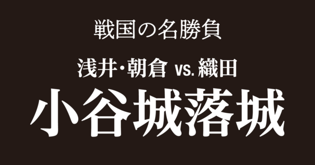 小谷城を落城させた信長・秀吉の北近江・越前制圧戦