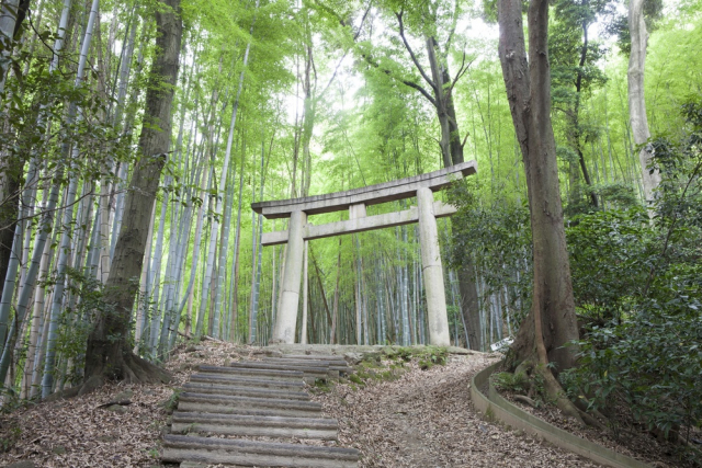 大阪と京都の境界“山崎”で羽柴秀吉と明智光秀が決戦！～山崎の戦い～