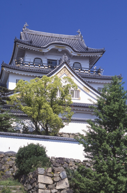 岸和田城の城下を疾走するだんじり祭