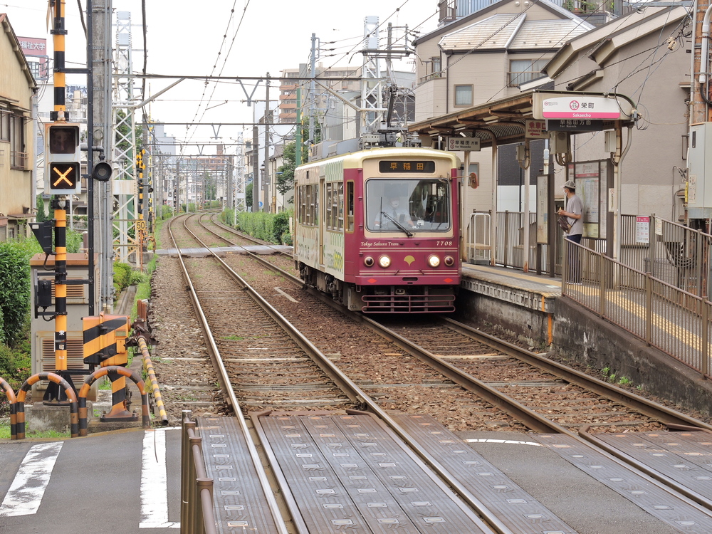 東京の路面電車の活躍～馬車鉄道から始まった東京の都市交通機関～ - まっぷるトラベルガイド