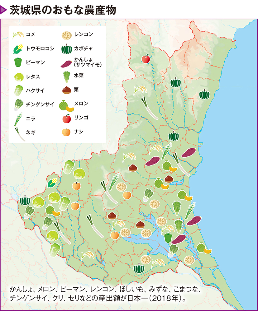 茨城県の農業の歴史 野菜産出額日本一のまちがある 盛んな理由とは カルチャー まっぷるトラベルガイド