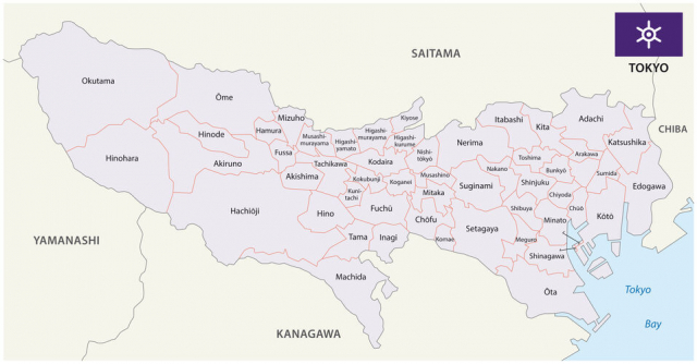 中央集権国家の樹立へ～廃藩置県と東京の誕生～