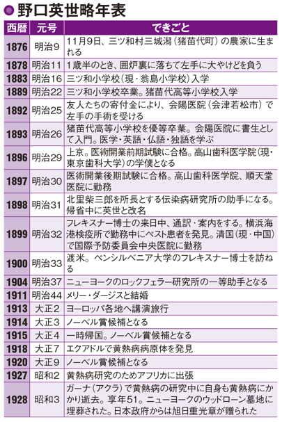 野口英世の生涯 感染症と闘い続けた細菌学者 カルチャー まっぷるトラベルガイド