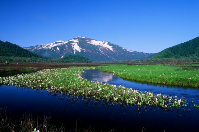 尾瀬の湿原はどのように形作られた？～貴重な動植物が生息する日本最大の山地湿原～