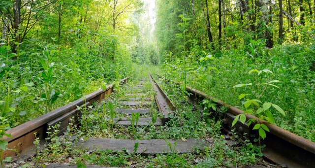 三蟠鉄道は地域を支えた幻の鉄道～時代の流れの中、駆け抜け消えていった存在～