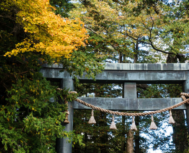 諏訪大社の御柱祭とは？～七年に一度の天下の大祭～