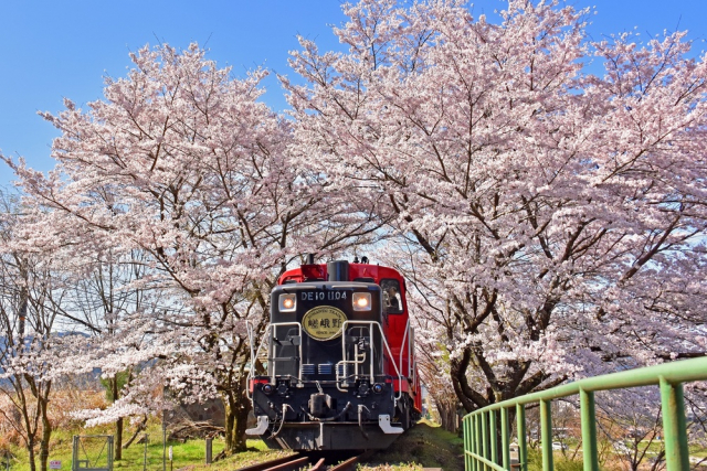 嵯峨野トロッコ列車は120年前から景観重視！？