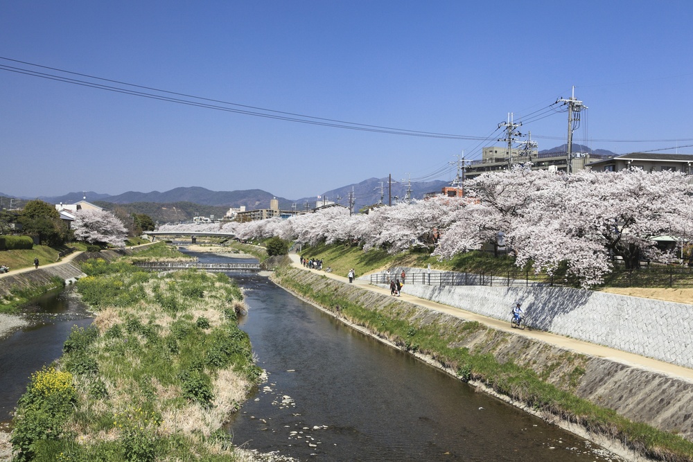 京都盆地の特色と重視された出入口 夏は暑く 冬は寒い盆地 カルチャー まっぷるトラベルガイド