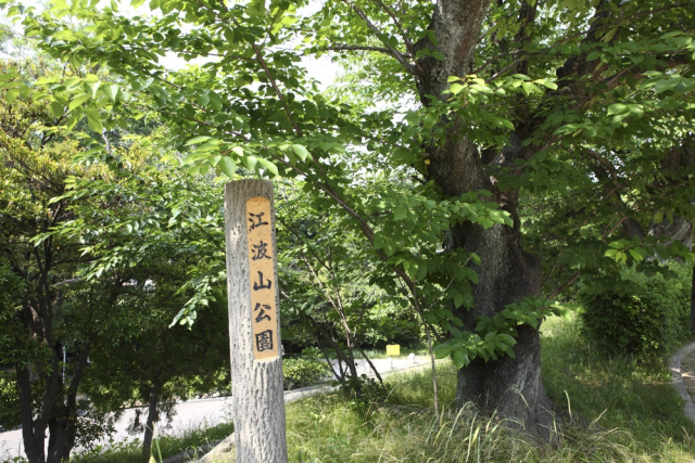 広島市は干拓で生まれた大地！黄金山も江波山も島だった