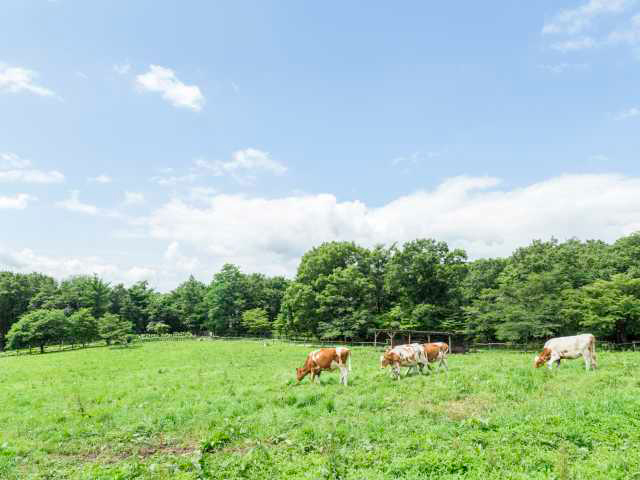 那須野が原の大開拓～不毛の原野が酪農王国に変貌～