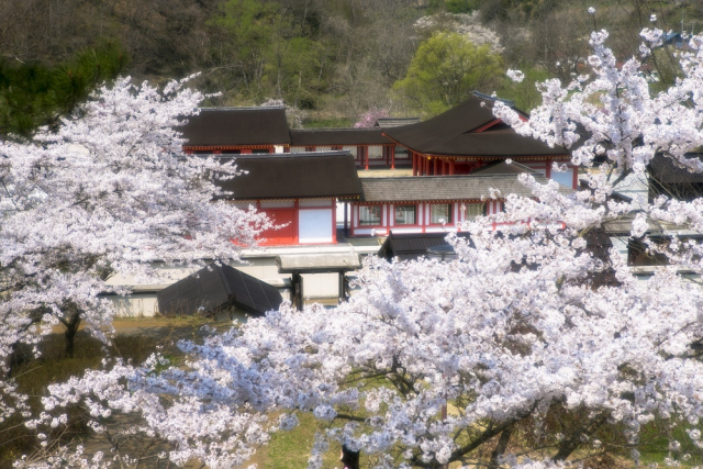 前九年の役 後三年の役が終結して奥州の平泉文化は花開いた まっぷるトラベルガイド