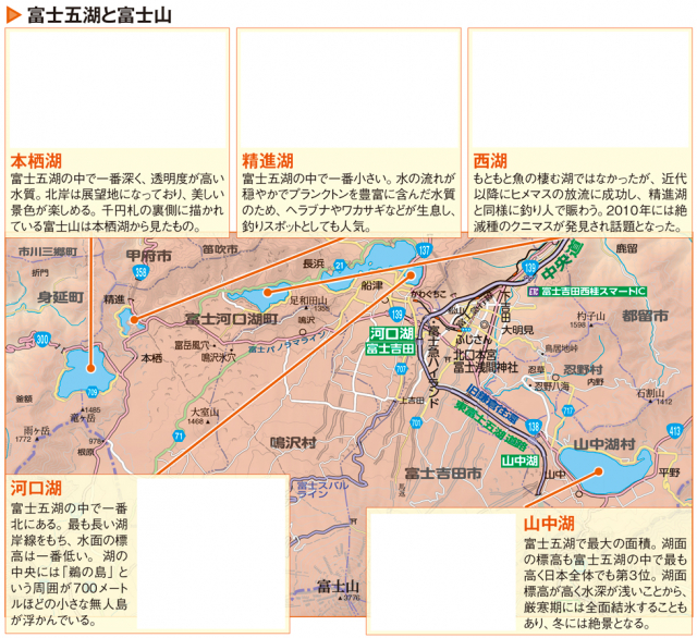 富士五湖形成の歴史～その成り立ちは富士山の溶岩でせき止められた2つの湖だった！？ - まっぷるトラベルガイド