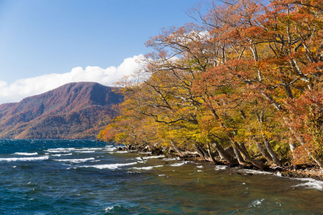 【青森県の歴史】戊辰戦争後に紆余曲折を経て青森県が成立。凶作を乗り越え近代化していく