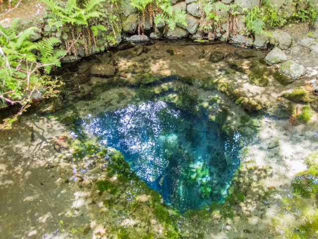 忍野八海の歴史と成り立ち～「池」だけど「海」といわれる神秘の風景を魅せる湧水地～