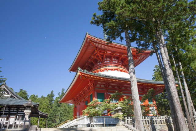 空海が死を迎えるまでにしたこととは？～最晩年まで密教の基盤強化のために活動した空海は、弟子たちに指示を残し62歳で入定した