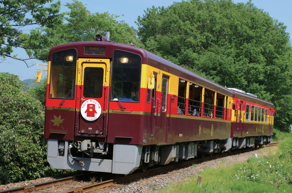 手ぬぐい わっしー トロッコ電車