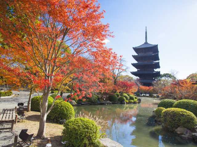 京都 東寺 教王護国寺 ランドマークは五重塔 観光旅行メディア まっぷるトラベルガイド