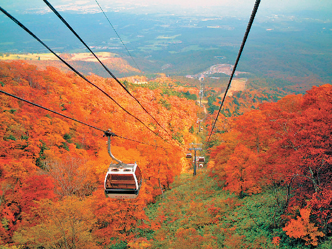 栃木 那須高原 ハイキングで季節の花と森林浴を楽しむ まっぷるトラベルガイド