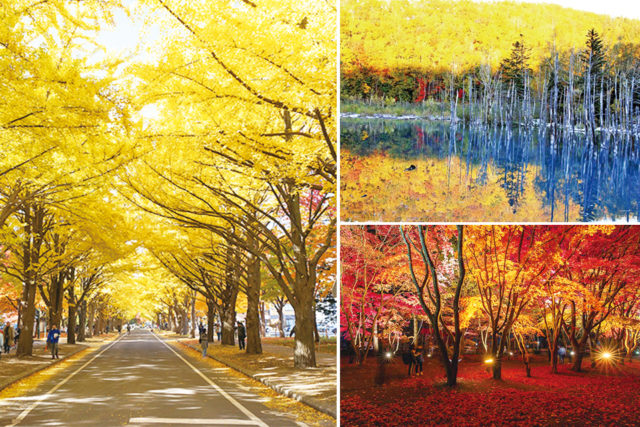 北海道 旅でエールを送ろう 北の大地の必見紅葉スポット 18年の紅葉見頃予想 まっぷるトラベルガイド