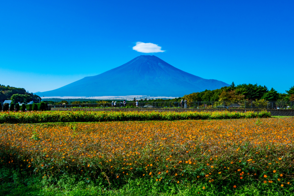 富士山麓 いいトコどり １泊２日おすすめコース３選 まっぷるトラベルガイド