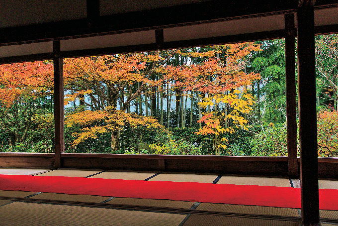 大原エリア 三千院・宝泉院・来迎院・寂光院の紅葉おすすめスポット！モデルコースもご案内♪ - まっぷるウェブ