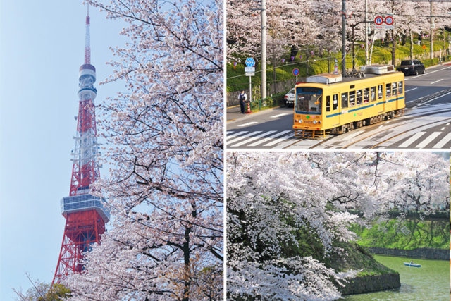 東京 19年春イチオシ 都内桜の名所6選 穴場スポットもご紹介 まっぷるトラベルガイド