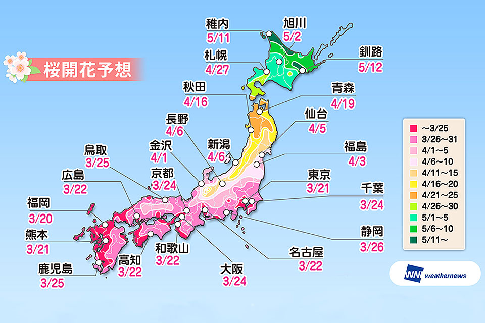 全国 19年桜の開花予想 一番のりは福岡 東京は3月21日予定 観光旅行メディア まっぷるトラベルガイド