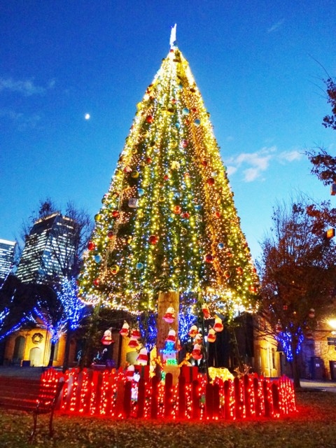 愛知 県 クリスマス 最高の画像壁紙日本aad