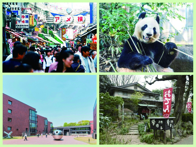 上野観光まとめ】動物園にアメ横に美術館めぐり！上野はこう楽し