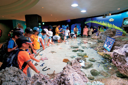 沖縄美ら海水族館 完全ガイド！ みどころ満載のモデルプランやイルカショー、みやげ情報も♪ (2ページ目)