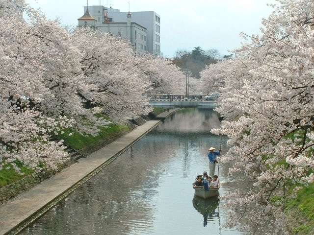 北陸のおすすめの桜の名所 お花見スポット 年版 観光旅行メディア まっぷるトラベルガイド
