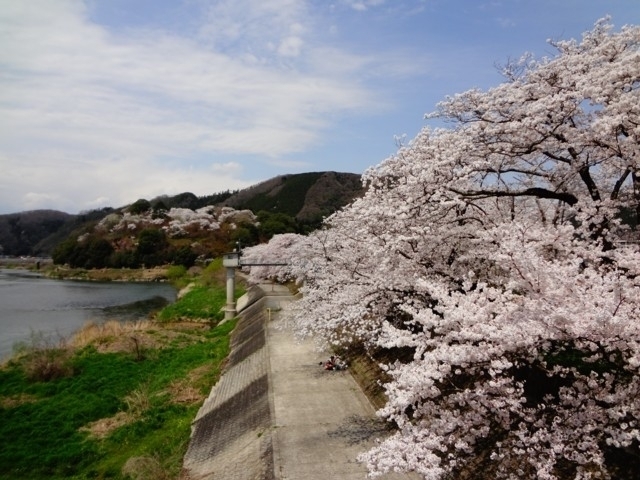 中国エリアのおすすめの桜の名所 お花見スポット 年版 観光旅行メディア まっぷるトラベルガイド