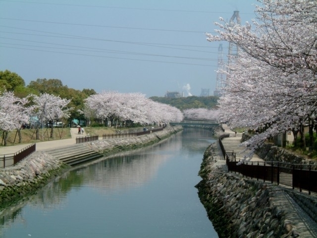 平和市民公園 観光旅行メディア まっぷるトラベルガイド