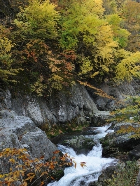 岩手県のおすすめの紅葉スポット 年版 例年の見頃時期やイベント ライトアップなど情報満載 観光旅行メディア まっぷるトラベルガイド