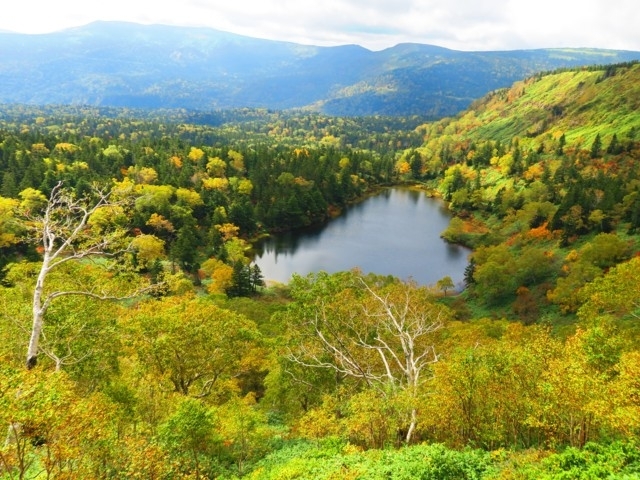 岩手県のおすすめの紅葉スポット 年版 例年の見頃時期やイベント ライトアップなど情報満載 まっぷるトラベルガイド