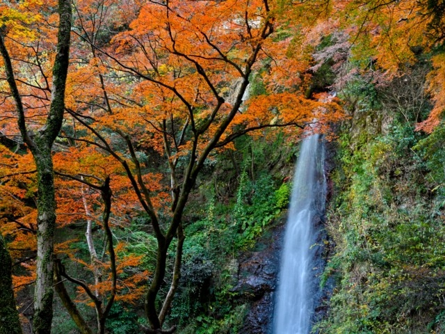 岐阜県のおすすめの紅葉スポット 年版 例年の見頃時期やイベント ライトアップなど情報満載 まっぷるトラベルガイド