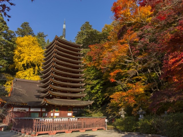 奈良県のおすすめの紅葉スポット 年版 例年の見頃時期やイベント ライトアップなど情報満載 まっぷるトラベルガイド