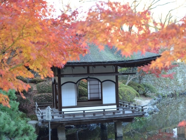 和歌山県のおすすめの紅葉スポット 年版 例年の見頃時期やイベント ライトアップなど情報満載 まっぷるトラベルガイド