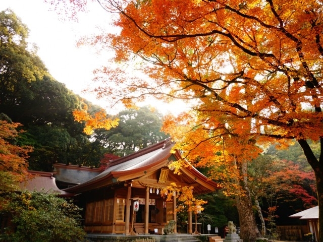 九州のおすすめの紅葉スポット 年版 例年の見頃時期やイベント ライトアップなど情報満載 まっぷるトラベルガイド