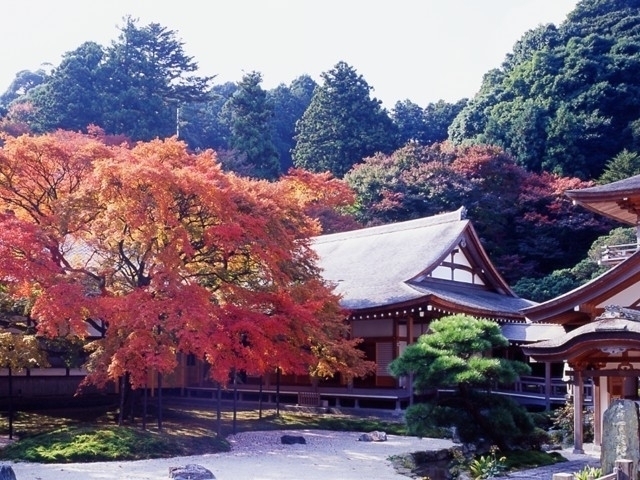 九州のおすすめの紅葉スポット 年版 例年の見頃時期やイベント ライトアップなど情報満載 まっぷるトラベルガイド