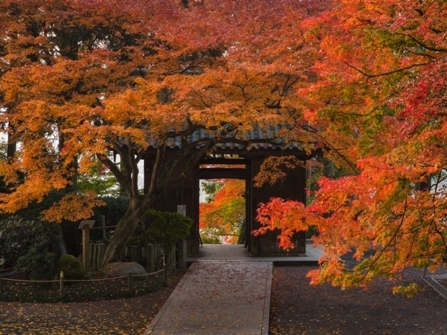 九州のおすすめの紅葉スポット 年版 例年の見頃時期やイベント ライトアップなど情報満載 まっぷるトラベルガイド