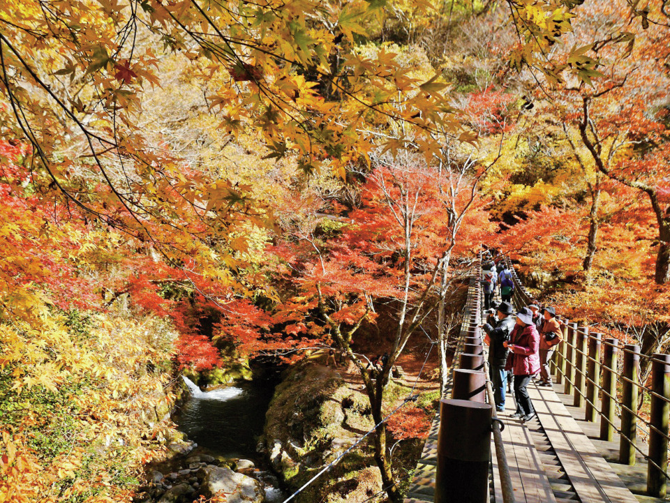 茨城のおすすめドライブコース4選 色彩豊かな峰々の紅葉 名瀑や渓谷を見に行こう まっぷるトラベルガイド