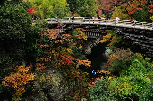 首都圏から日帰り 11月見ごろ 山梨 甲斐の猿橋 で秋の紅葉を満喫 観光旅行メディア まっぷるトラベルガイド