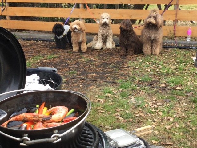 イーノの森bbqステーション In 夢の島マリーナ 観光旅行メディア まっぷるトラベルガイド