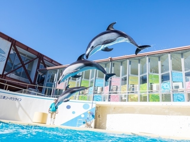 静岡県のおすすめ水族館 21版 営業時間やアクセス ファミリー向け子連れ情報など情報満載 まっぷるトラベルガイド