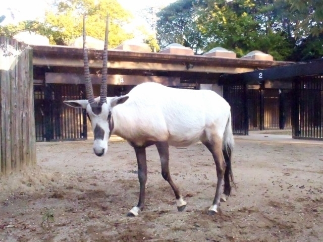 福岡市動植物園 まっぷるトラベルガイド