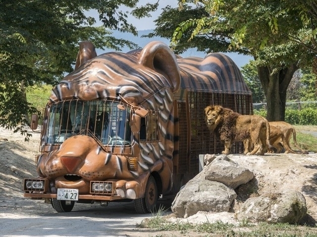 九州のおすすめ動物園 21版 営業時間やアクセス ファミリー向け子連れ情報など情報満載 まっぷるトラベルガイド