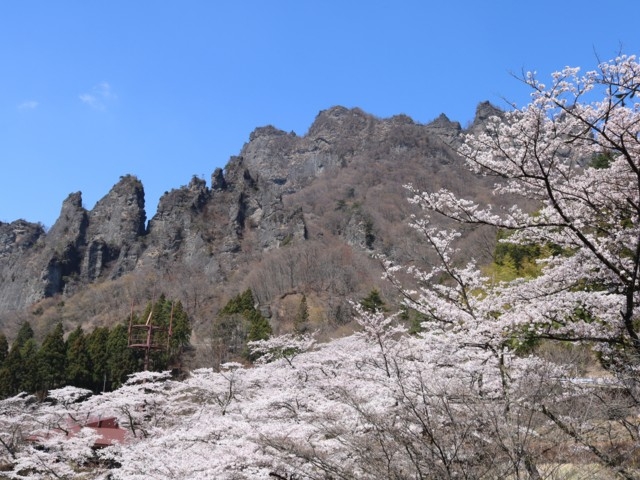 群馬県のおすすめの桜の名所 お花見スポット 21年版 まっぷるトラベルガイド